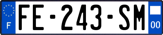 FE-243-SM