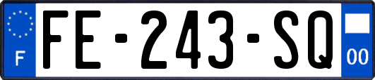 FE-243-SQ