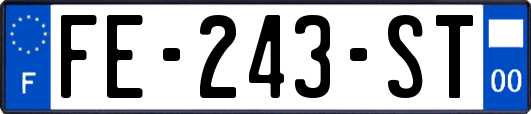 FE-243-ST