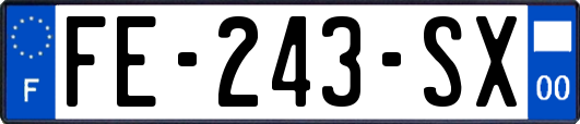 FE-243-SX