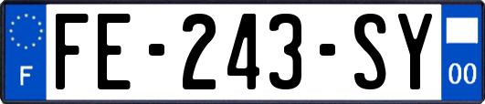 FE-243-SY