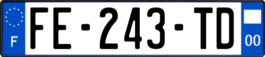 FE-243-TD