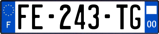 FE-243-TG