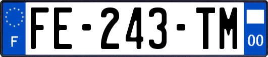 FE-243-TM