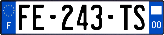 FE-243-TS