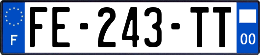 FE-243-TT