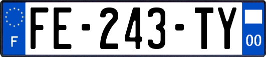 FE-243-TY