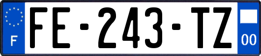 FE-243-TZ
