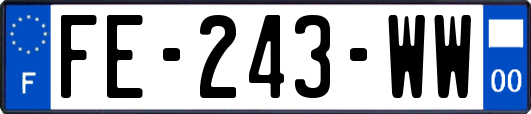 FE-243-WW