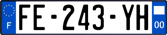 FE-243-YH