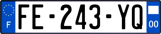 FE-243-YQ