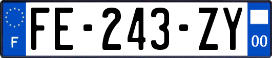 FE-243-ZY
