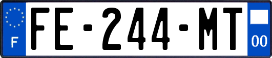 FE-244-MT