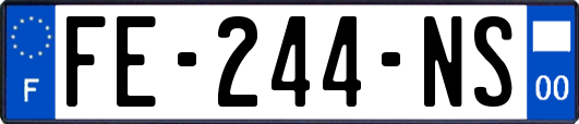 FE-244-NS