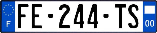 FE-244-TS
