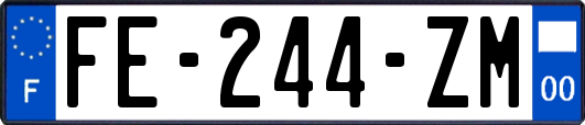 FE-244-ZM