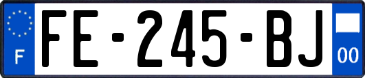FE-245-BJ