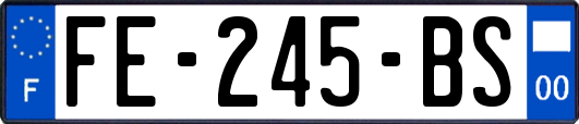 FE-245-BS