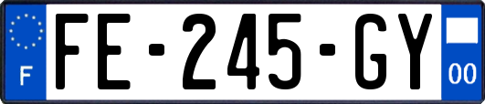 FE-245-GY
