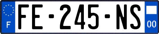 FE-245-NS