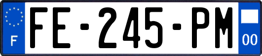 FE-245-PM