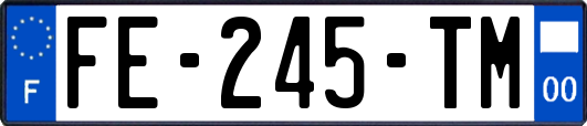 FE-245-TM