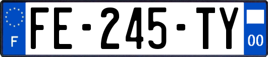 FE-245-TY