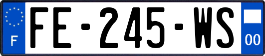 FE-245-WS