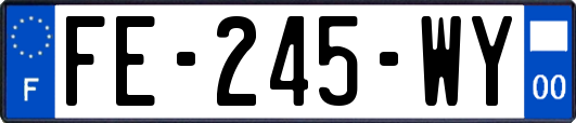 FE-245-WY