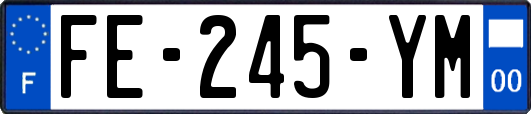 FE-245-YM