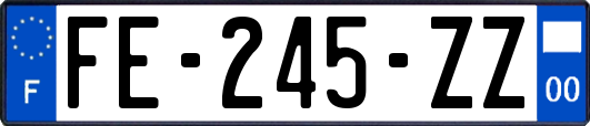 FE-245-ZZ