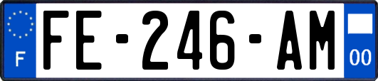 FE-246-AM