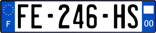 FE-246-HS