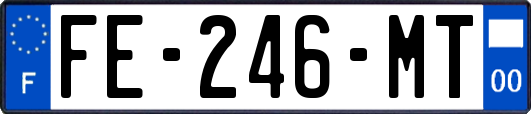 FE-246-MT
