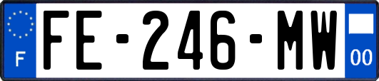 FE-246-MW