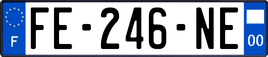 FE-246-NE