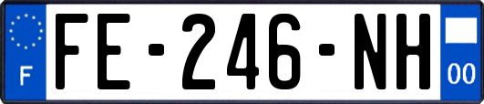 FE-246-NH