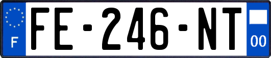 FE-246-NT