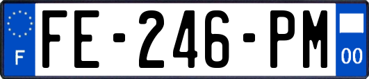 FE-246-PM