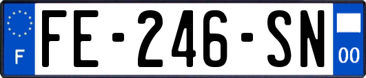 FE-246-SN