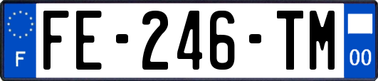 FE-246-TM