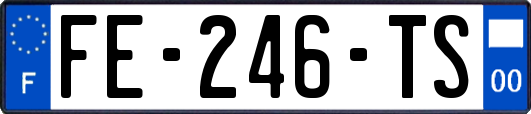 FE-246-TS