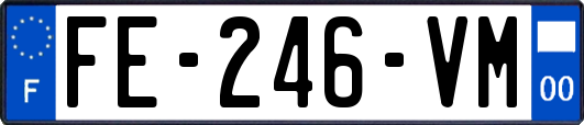 FE-246-VM