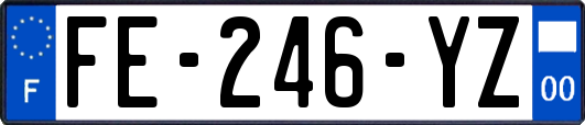 FE-246-YZ