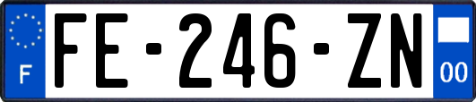 FE-246-ZN