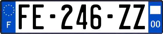 FE-246-ZZ