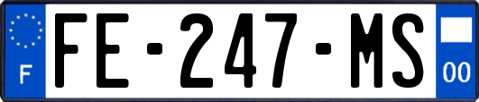 FE-247-MS