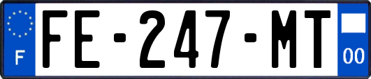 FE-247-MT