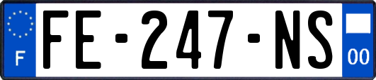 FE-247-NS