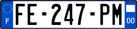 FE-247-PM